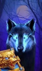 Book Of The Night Wolf